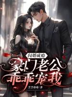 闪婚成瘾：豪门老公乖乖宠我