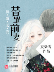 新婚无爱，替罪前妻免费阅读