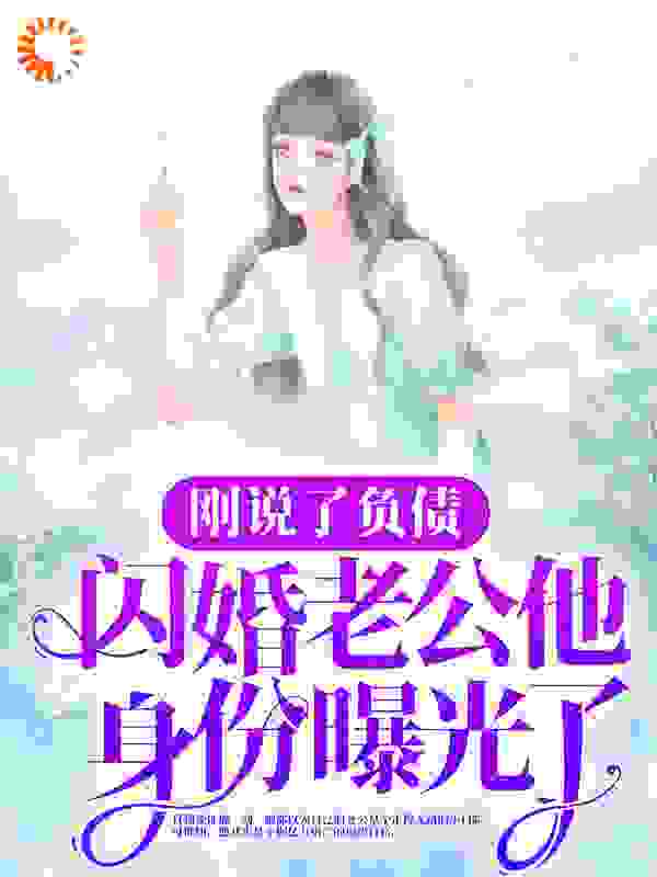 刚说了负债，闪婚老公他身份曝光了？在线阅读